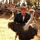 Illustration for article titled Adam Sandler confirms that his movies are just paid vacations